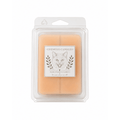 Catch Me If You Can Gingerbread Wax Melts